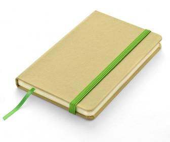 Notes ELIC A6  17616